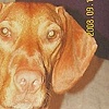 Maggie
