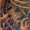 Koi 