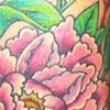 Cecily's flowers