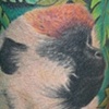 Bonnie's chimps 