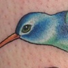Bird with rose