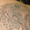 Iguana