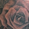 Black and Grey Rose