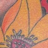 Scott's Lotus