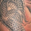 Dragon 3