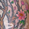 Magnolia tree