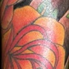 Justin's Roses and clouds 