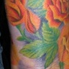 Mary sleeve 4