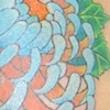 chrysanthemum arm
