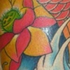  Koi