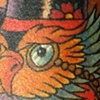 Frank's Owl