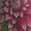 Susan's Chrysanthemum 