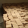 The Paper Bag Project