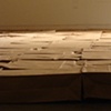 The Paper Bag Project