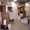 Studies in Brown and White
