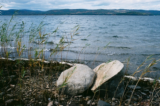Untitled 31
