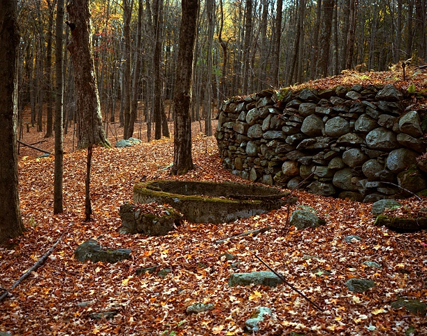 Untitled 6