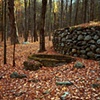 Untitled 6