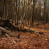 Untitled 3