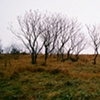 Untitled 41