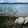 Untitled 31