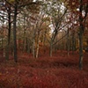 Untitled 2