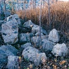 Untitled 38