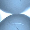 blue light special
