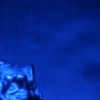 foo dogs 2