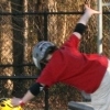 fly boy - aka silver bullet, Daniel Crowe