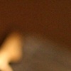 spectacle