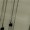 swinger