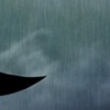 crescent sky