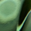 bottle of bokeh