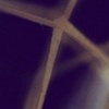 sinew