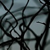 this is my brain on  . . .