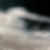 lone feather