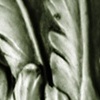 greenman