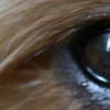 eye to the soul