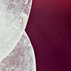 capize