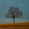 wide open