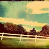 a jaunt in the country
