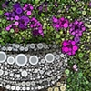 percolated flowers
