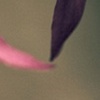 give