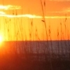 st pete setting