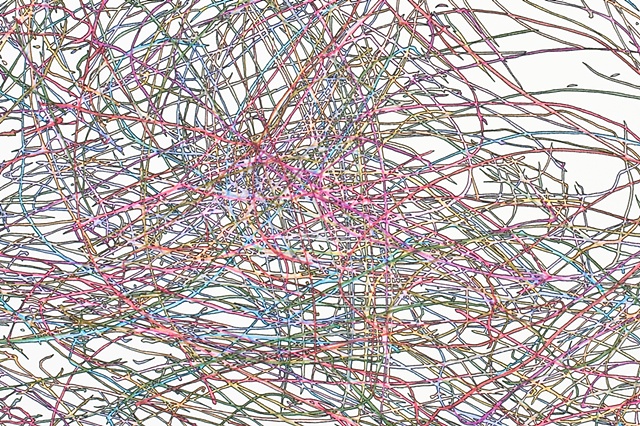 Sprawl, 2007