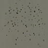 Analytics III, 2010