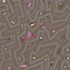 Brown Triangles, 2011