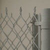 Fence (detail)
