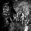 Muddy path